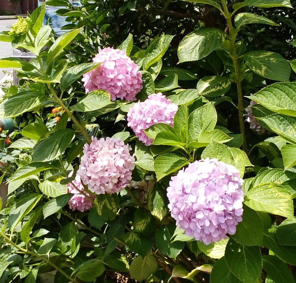 雨漏り　外壁塗装　屋根塗装　