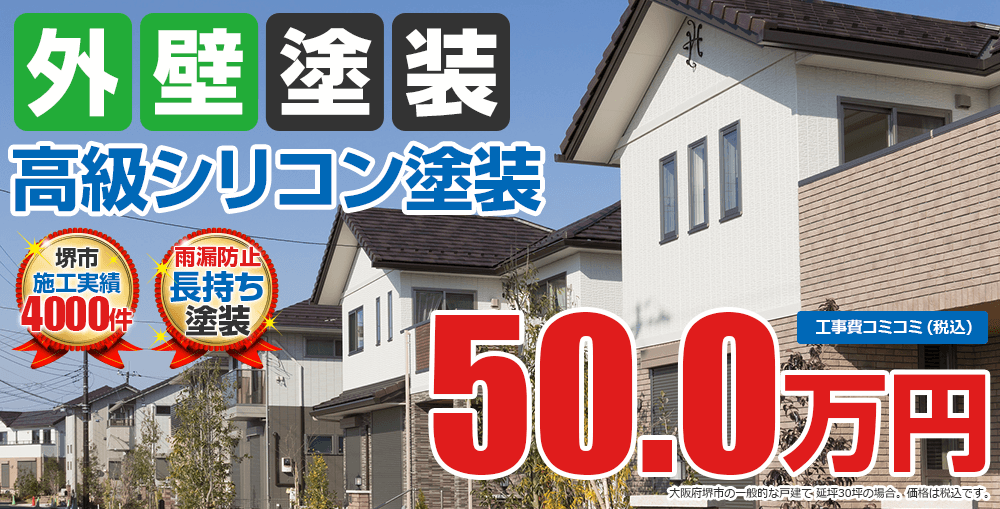 高級シリコン塗装塗装 50.0万円