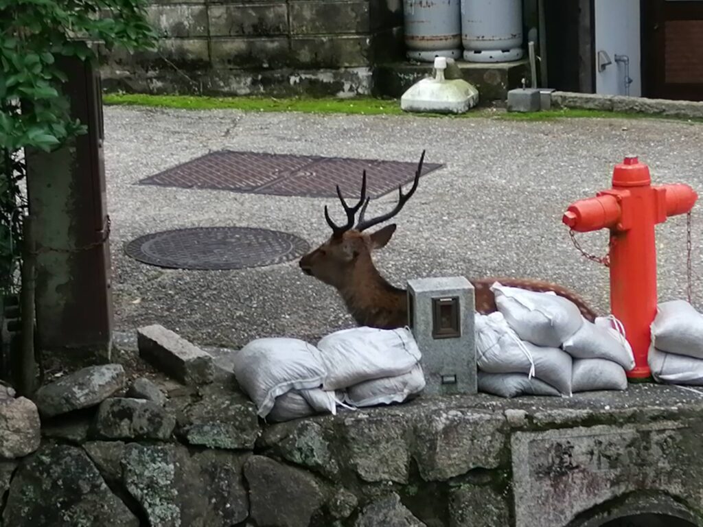 堺市　外壁塗装　屋根塗装　雨漏り　千成工務店