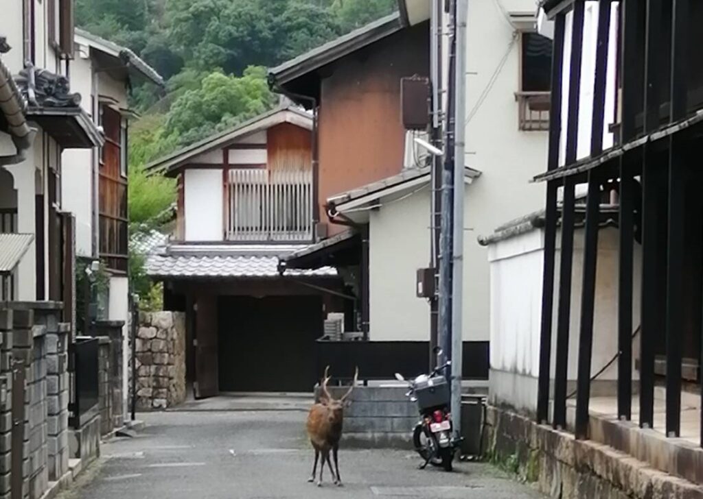 堺市　外壁塗装　屋根塗装　雨漏り　千成工務店