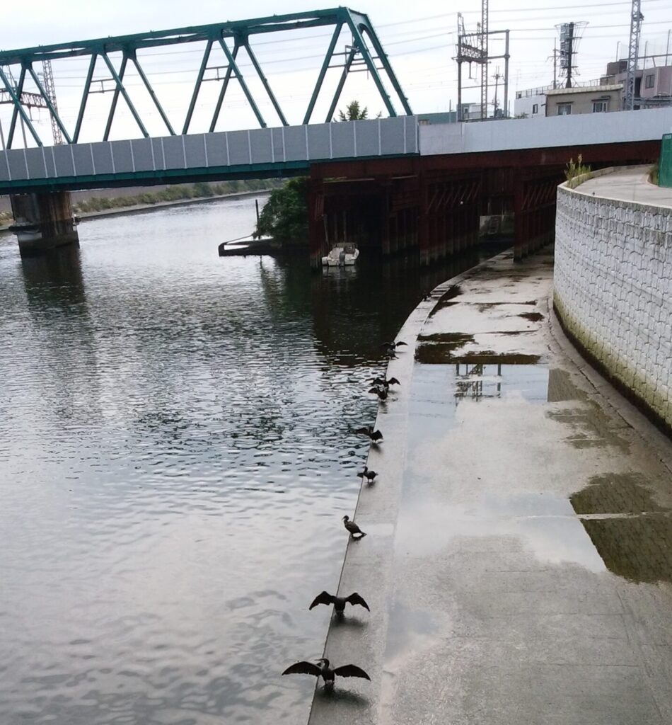 堺市　外壁塗装　屋根塗装　雨漏り　千成工務店