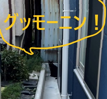 堺市　外壁塗装　屋根塗装　雨漏り　千成工務店