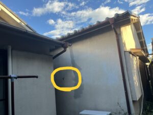 虫　トンボ　ハグロトンボ　堺市　外壁塗装　屋根塗装　雨漏り　修理　工法　千成工務店