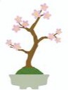 盆栽　桜　クマヤナギ　堺市　外壁塗装　屋根塗装　雨漏り　修理　工法　千成工務店