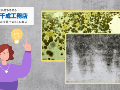 1_カビ・苔だらけの外壁を蘇らせる！見落としがちな原因と塗装による解決法