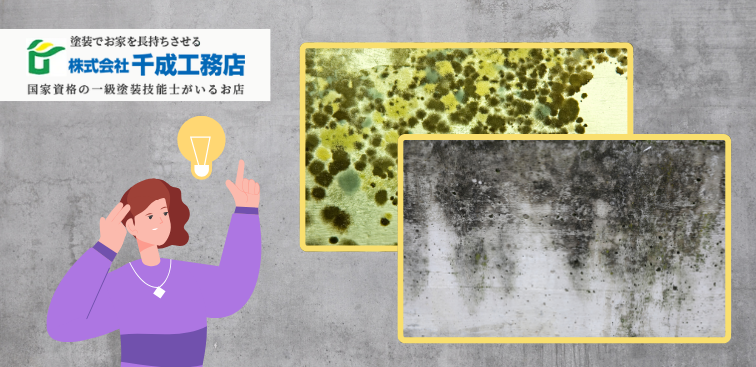 1_カビ・苔だらけの外壁を蘇らせる！見落としがちな原因と塗装による解決法