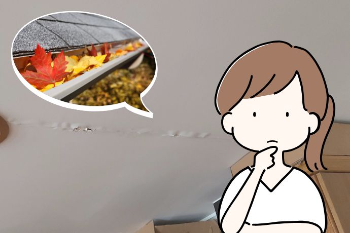 雨どいが詰まる原因と放置が招く被害