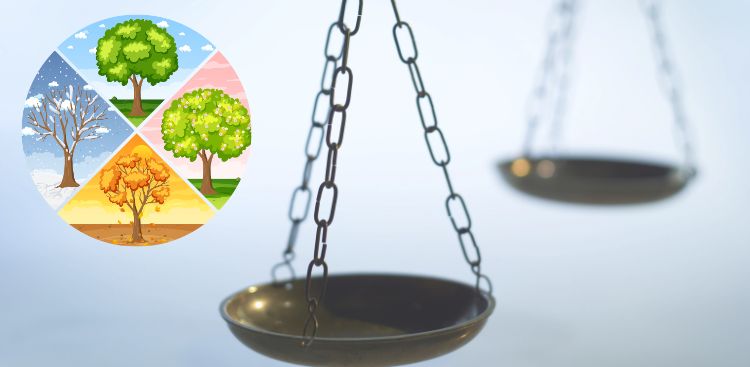 春・梅雨・夏・秋・冬の施工を比較